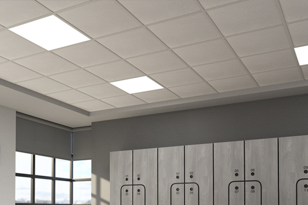 image_2026-01-09_083833586